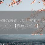 KDXRの株価はなぜ変動するのか？【投資ガイド】